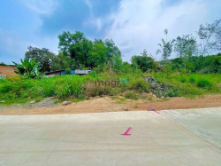 Ngộp quá cần ra hơn 1 sào đất phủ hồng, sát QL1A, dân kín, bám bêtông.