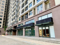 Shophouse nguồn đầu tư sinh lời sở hữu lâu dài