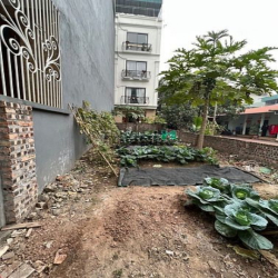 Bán đất Thạch bàn, vuông như bánh chưng, 58m hơn 4 tỷ