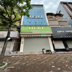 Cho thuê mặt bằng kinh doanh phố Linh Lang,Ba Đình diện tích 90m2