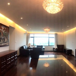 Cho thuê gấp căn penthouse  Panorama, Pmh, Q7, nhà đẹp, dọn vào ở ngay