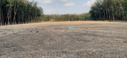 Bán Đất 1,1 ha chánh phú Hòa, Bên Cát Bình Dương