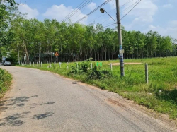Bán Đất 1,1 ha chánh phú Hòa, Bên Cát Bình Dương