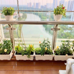 BÁN CĂN HỘ CAO CẤP CHUNG CƯ RIVERPARK 1, Phú Mỹ Hưng Quận 7 View Sông