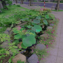 Cho thuê biệt thự Vinhomes Grand Park hoàn thiên trục chính NX-LP góc