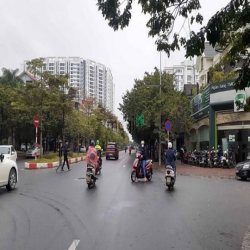 Cho thuê nhà nguyên căn phố Chu Huy Mân 60m2-12trfull đồ kinh doanh