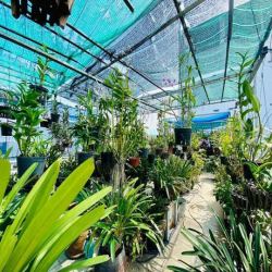 Bán nhà mặt tiền Tây Thạnh Tân Phú 5m x 23m 5 tầng giá chỉ 13.x tỷ