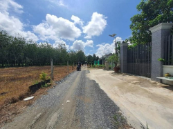 GIÁ NGỘP THỞ lô 350m2 Nở Hậu ở GÒ DẦu chỉ 356tr SHR