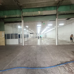 🌎 Xưởng cho thuê dt 770m2 giá 50tr Nguyễn Văn Bứa Hóc Môn