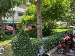 Cho thuê văn phòng phường Tân Định quận 1