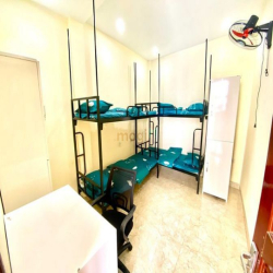 Cho thuê homestay Phạm Tuấn Tài