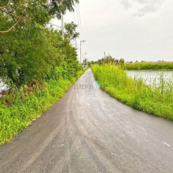 Cần Tiền Bán Gấp Lô Đất Vườn 1600M2 XÃ BÌNH KHÁNH HUYÊN CẦN GIỜ.