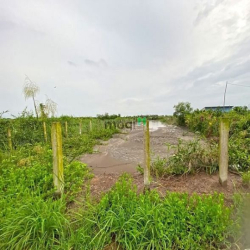 Cần Tiền Bán Gấp Lô Đất Vườn 1600M2 XÃ BÌNH KHÁNH HUYÊN CẦN GIỜ.