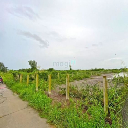 Cần Tiền Bán Gấp Lô Đất Vườn 1600M2 XÃ BÌNH KHÁNH HUYÊN CẦN GIỜ.