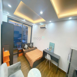 Penthouse cao cấp ngay vòng xoay dân chủ