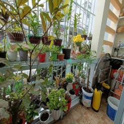 Nhà 1 trệt 1 lầu 57m2 hẻm xe tải 6m thông 1 sẹc – 3 PN, 2 WC