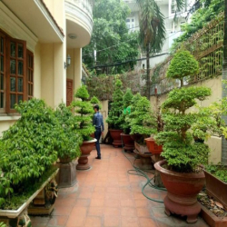 Bán Biệt Thự 193M Nam Kỳ Khởi Nghĩa, Q3. DT 268m2(16x18m) . Giá 70 tỷ