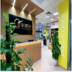 Cần cho thuê văn phòng làm việc tại Trần Thái Tông, Cầu Giấy