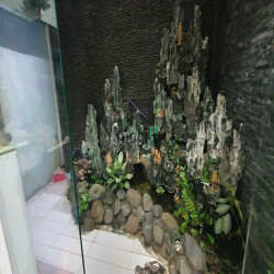 Cho thuê gấp nhà mới Trệt, 2 Lầu, ST Đặng Thùy Trâm