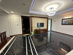 Biệt thự Bason giá thuê 180tr/ tháng nội thất sang - xịn mịn - đẹp