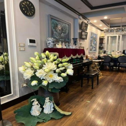 Cực gấp! Phân lô Phan Kế Bính, lô góc , ôtô vào nhà, thang máy.DT 53m2