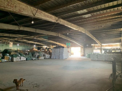 Cho thuê kho xưởng 1.250m2 mặt tiền Nguyễn Văn Bá, Trường Thọ, Thủ Đức
