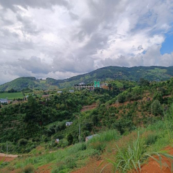 Chủ gửi bán lô đất hơn 500 m² có sổ riêng, công chứng trong ngày ở Lâm