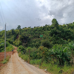 Chủ gửi bán lô đất hơn 500 m² có sổ riêng, công chứng trong ngày ở Lâm