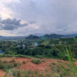 Chủ gửi bán lô đất hơn 500 m² có sổ riêng, công chứng trong ngày ở Lâm
