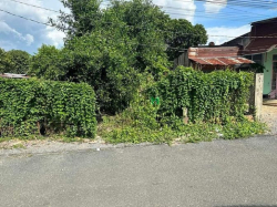 ‼️Cần bán đất 17x29  thổ cư 242m2 - tọa lạc tại Hiệp Ninh TPTN - mặt t