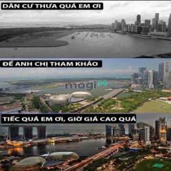 Chủ Cần Bán Gấp! Bán Đất Phân Lô - Ô Tô  - 60m2 MT5.5m - Giá Hơn 8 Tỷ