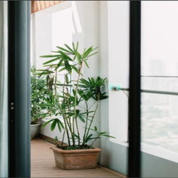 PENTHOUSE – Centana Thủ Thiêm – 1 căn duy nhất, 1 căn duy nhất!