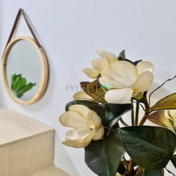 Cho Thuê Phòng Cao Cấp, Nội Thất mới căng, bên P4, Tân Bình
