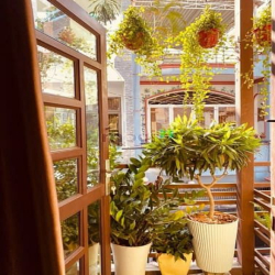 Khu Phức Hợp ĐH Văn Lang ! Bán nhà 4x16m đường Dương Quảng Hàm , 3 Lầu