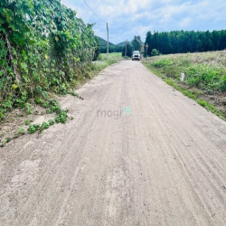 Khánh Trung, Khánh Vĩnh cách TT Khánh Vĩnh 6km, về TP Nha Trang 35km
