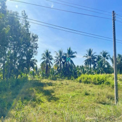 Đất Mặt Tiền Phường Gia Lộc Trảng Bàng, 380m2, Sổ Hồng Riêng
