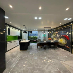 Xoay tiền bán căn HXH Nguyễn Đình Khơi, P.4, Tân Bình, 72m2, 2tỷ250tr