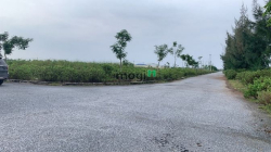 Bán đất SXKD tại Cụm Khu CN Hậu Lộc
