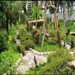 Bán Gấp Nhà Vườn Xưởng Tâm Huyết An Nhơn Tây, Củ Chi DT 5249m2 3,8trm2