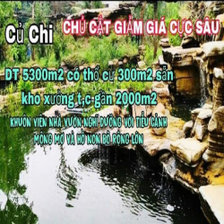 Bán Gấp Nhà Vườn Xưởng Tâm Huyết An Nhơn Tây, Củ Chi DT 5249m2 3,8trm2