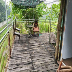 Bán Gấp Nhà Vườn Xưởng Tâm Huyết An Nhơn Tây, Củ Chi DT 5249m2 3,8trm2
