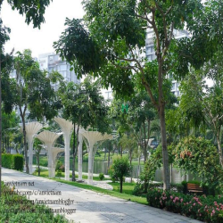 Cho thuê 9 căn Shophouse KĐT Sala, bao chỗ gửi xe, giá tốt 45-90triệu