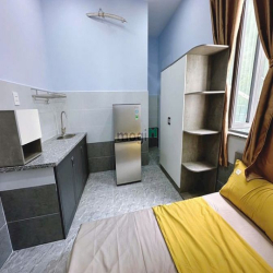 Loạt căn hộ dịch vụ Tân quy quận 7, full nội thất, giảm giá sập sàn