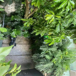 Cho thuê MB Hoàng Sa Dakao Quận 1, 2 tầng, 70m2 xanh sạch đẹp