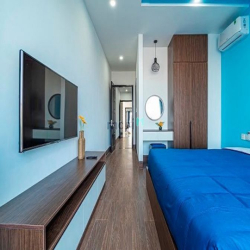 Căn hộ 1PN có hồ bơi khu Bắc Mỹ An - C039