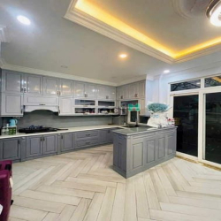 Biệt Thự Cổ Điển sân vườn 6x20m ngay TT Gò Vấp gần Cityland hơn 12tỷTL