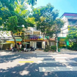 Nhà phố 2 lầu ST mặt tiền đường 16m KDC Tân Quy Đông, Quận 7