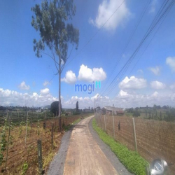 Bán đất gần sân bay Liên Khương dt 5x26m khu dân cư đông giá hơn 1 tỷ