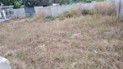 Cho Thuê Lô Đất 20x24m Lâu Dài - Quận 2