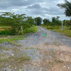 Đất trồng nằm nằm sát khu dân cư, cách Hóc Môn 5km